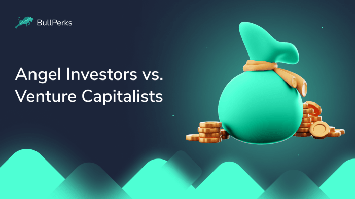 Angel Investors vs Venture Capital Accounting Differences