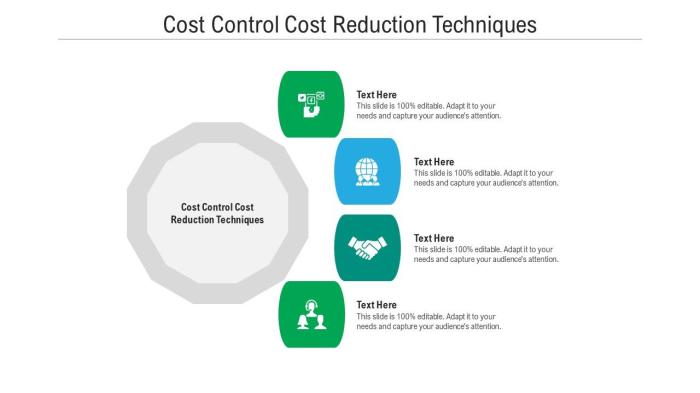 Cost Control Strategies Using Accounting Data
