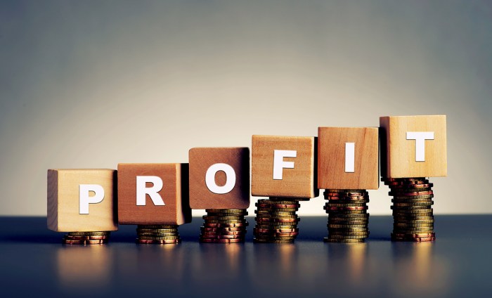 How to Improve Profitability Through Smart Accounting Decisions