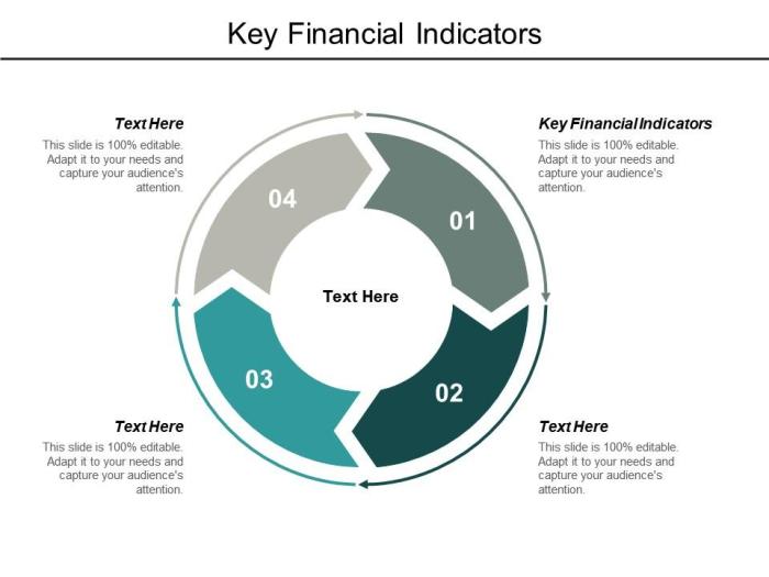 Key Indicators of a Financially Healthy Business