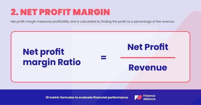 How to Evaluate Financial Performance Using Accounting Metrics