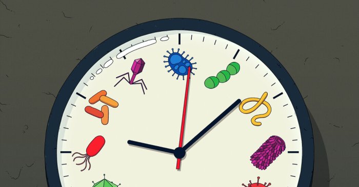 How Global Disruptions Like Pandemics Impact Financial Auditing