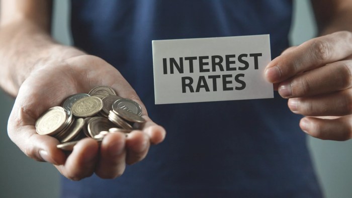 How Changing Interest Rates Affect Financial Statement Analysis Worldwide