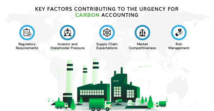 The Challenges of Accounting for Carbon Credits and Environmental Liabilities