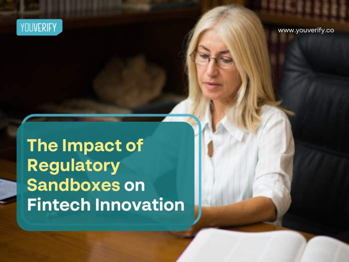 The Role of Regulatory Sandboxes in Financial Innovation Accounting