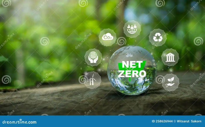 The Role of Sustainable Accounting in Achieving Net-Zero Goals