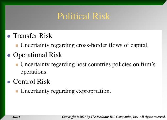 The Influence of Political Risk on International Financial Statements
