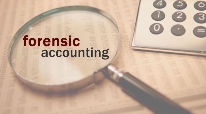 The Role of Forensic Accounting in Fraud Detection