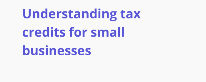 Understanding Tax Credits and How They Benefit Your Business