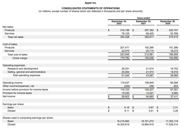 How to Prepare a Profit and Loss Statement
